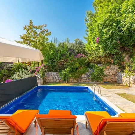 Villa Pine 2